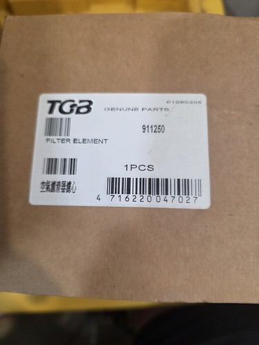Oem 1000cc tgb gas engine - 1000cc,